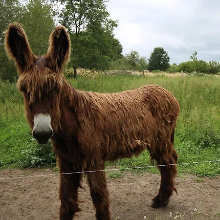 De Charme Proche Du Mans Pour 6 Pers., Commerces à Pied, équipé - Fr-1-410-258