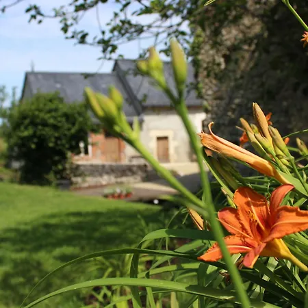 De Charme Proche Du Mans Pour 6 Pers., Commerces A Pied, Equipe Country house