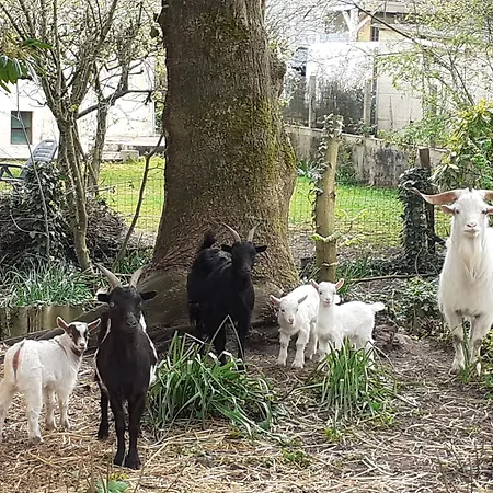 De Charme Proche Du Mans Pour 6 Pers., Commerces A Pied, Equipe - Fr-1-410-258 *