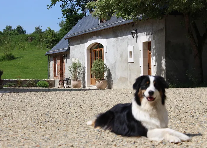 De Charme Proche Du Mans Pour 6 Pers., Commerces A Pied, Equipe - Fr-1-410-258 Semesterbostad Cérans-Foulletourte