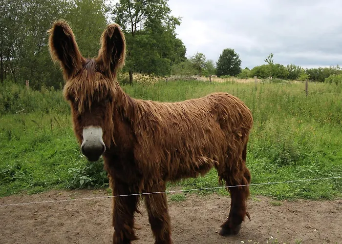 De Charme Proche Du Mans Pour 6 Pers., Commerces A Pied, Equipe - Fr-1-410-258