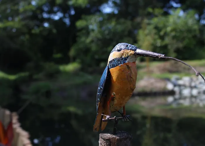 Semesterbostad De Charme Proche Du Mans Pour 6 Pers., Commerces A Pied, Equipe - Fr-1-410-258 *