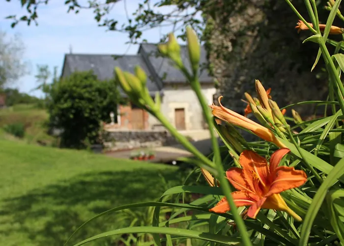 De Charme Proche Du Mans Pour 6 Pers., Commerces A Pied, Equipe - Fr-1-410-258 Semesterbostad